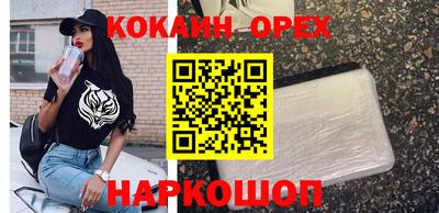 гидропоника Новозыбков