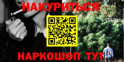 стафф Новокубанск