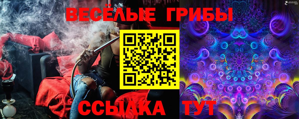 Псилоцибиновые грибы ЛСД Мурманск