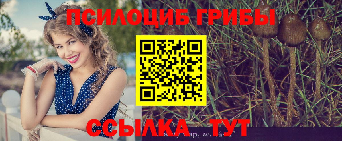 Мурманск  Псилоцибиновые грибы мицелий  Вход с VPN 